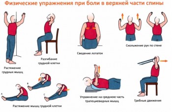 упражнения для грудного отдела